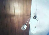 Wo wurden diese Bilder aufgenommen?