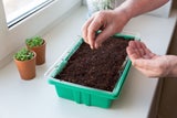 Diese Arbeiten im Garten sollten Sie jetzt unbedingt erledigen