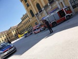 60-Jähriger bricht vor Schönbrunn zusammen – tot
