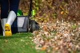 Diese Arbeiten im Garten sollten Sie jetzt unbedingt erledigen