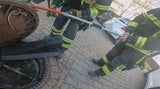 Tierretter 'schraubten' Ratte aus Kanaldeckel