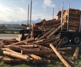 Lkw verlor beim Autobahnknoten Villach eine Ladung Baumstämme
