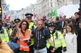 Fast 300 Festnahmen bei Klimaprotesten in London