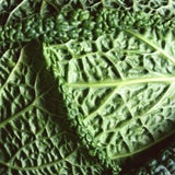 Superfoods