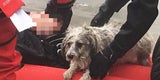 Hund und Frauerl brechen am Kaiserwasser ein