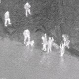 Einbrecher nach Heli-Jagd geschnappt