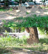 Wo wurden diese Bilder aufgenommen?