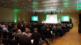 Peschek wird Rapid-Manager