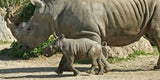 Wetter: Morgen bis zu 28 Grad in Österreich