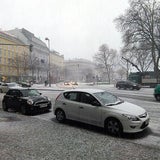 Die Orkanschäden in Österreich