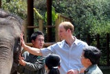 Prinz William besucht Elefanten-Schutzgebiet