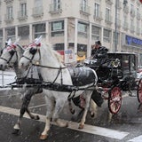 Schnee
