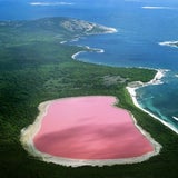 Warum ist dieser See pink?