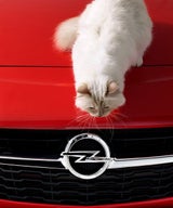 Choupette Lagerfeld im Opel Corsa Fotokalender 2015