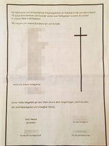 Co-Pilot leitete Absturz ein