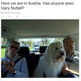 Robbie in Österreich gelandet