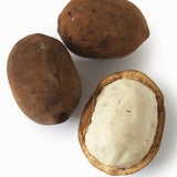 Die Capuacu wächst auf kleinen Bäumen in Brasilien.