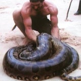 Anaconda