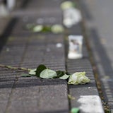 Konvoi der Trauer: Germanwings-Opfer daheim