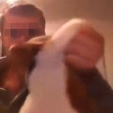 Bilder: So quälte er den Welpen