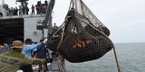 Zwei Wrackteile von AirAsia-Airbus entdeckt