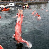 "Weihnachts-Schwimmen" - Ab ins 9° kalte Wasser