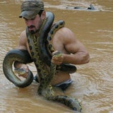 Anaconda