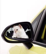 Choupette Lagerfeld im Opel Corsa Fotokalender 2015