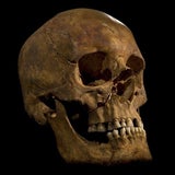 Archäologen entdecken Skelett von König Richard III.