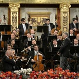 Das Neujahrskonzert der Wiener Philharmoniker 2015.