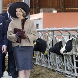 Königin Máxima: Stall-Rundgang in Deutschland