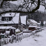 Der richtige Winter kommt erst im Februar