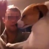 Bilder: So quälte er den Welpen