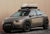 Fotos vom getunten Citroen C4 Cactus