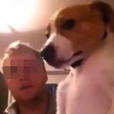 Bilder: So quälte er den Welpen