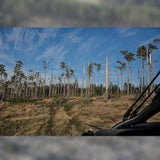 So zerstörte das Eis-Chaos die Landschaft