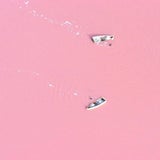 Warum ist dieser See pink?