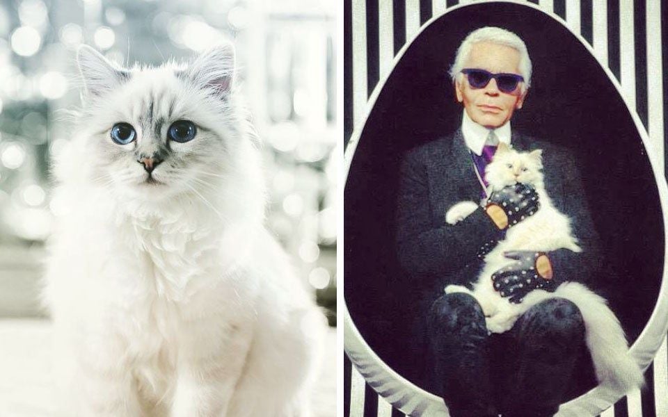 Choupette Lagerfeld