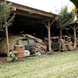 Fotos vom Oldtimer-Sensationsfund