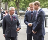 Prinz William & Harry unterwegs mit Papa Charles