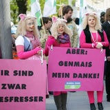 Freispruch für Alm-Kühe vor Gericht