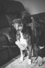 Project Cleo - Herrchen nehmen Abschied von ihren Haustieren