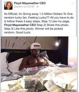 Irrer Facebook-Fake um 1,2 Mio. Dollar