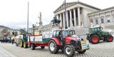 Bauern-Demo in Wien mit Mega-Milchsee
