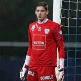 Das ist Krankls Team der Saison