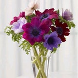 Last-Minute Valentinstagsgeschenke
