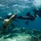 Fotos: Google auf den Galapagos Inseln