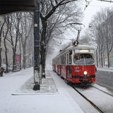 Schnee