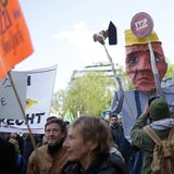 Freispruch für Alm-Kühe vor Gericht
