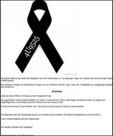 Co-Pilot leitete Absturz ein